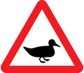  UK Traffic Sign Diagram Number 551.2 - Wild Fowl